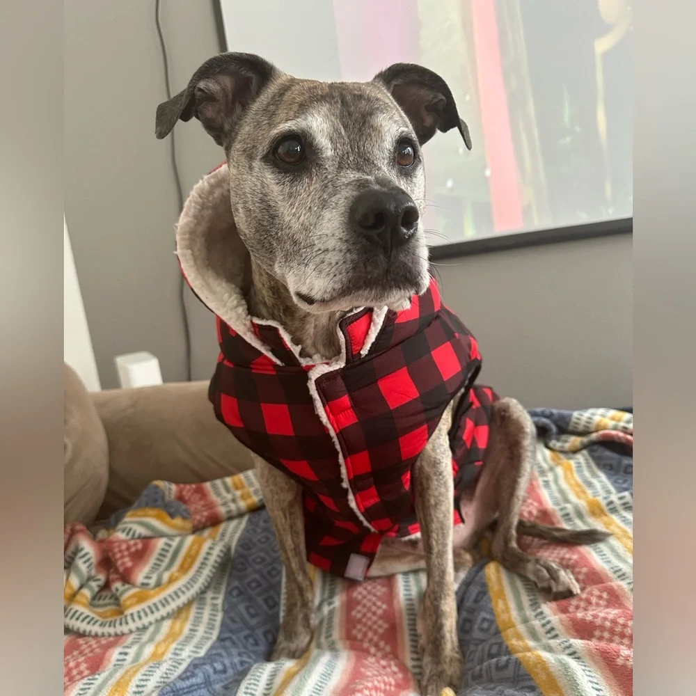Buffalo plaid Sherpa lined dog vest with hood
